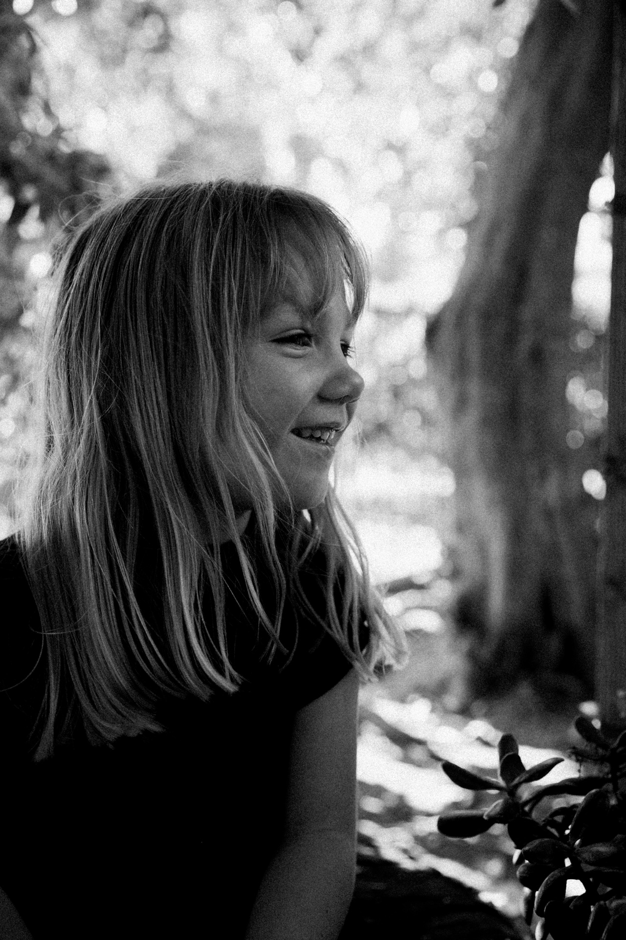 Memorial Detail 65 - Dodge Memorial · Lighting System