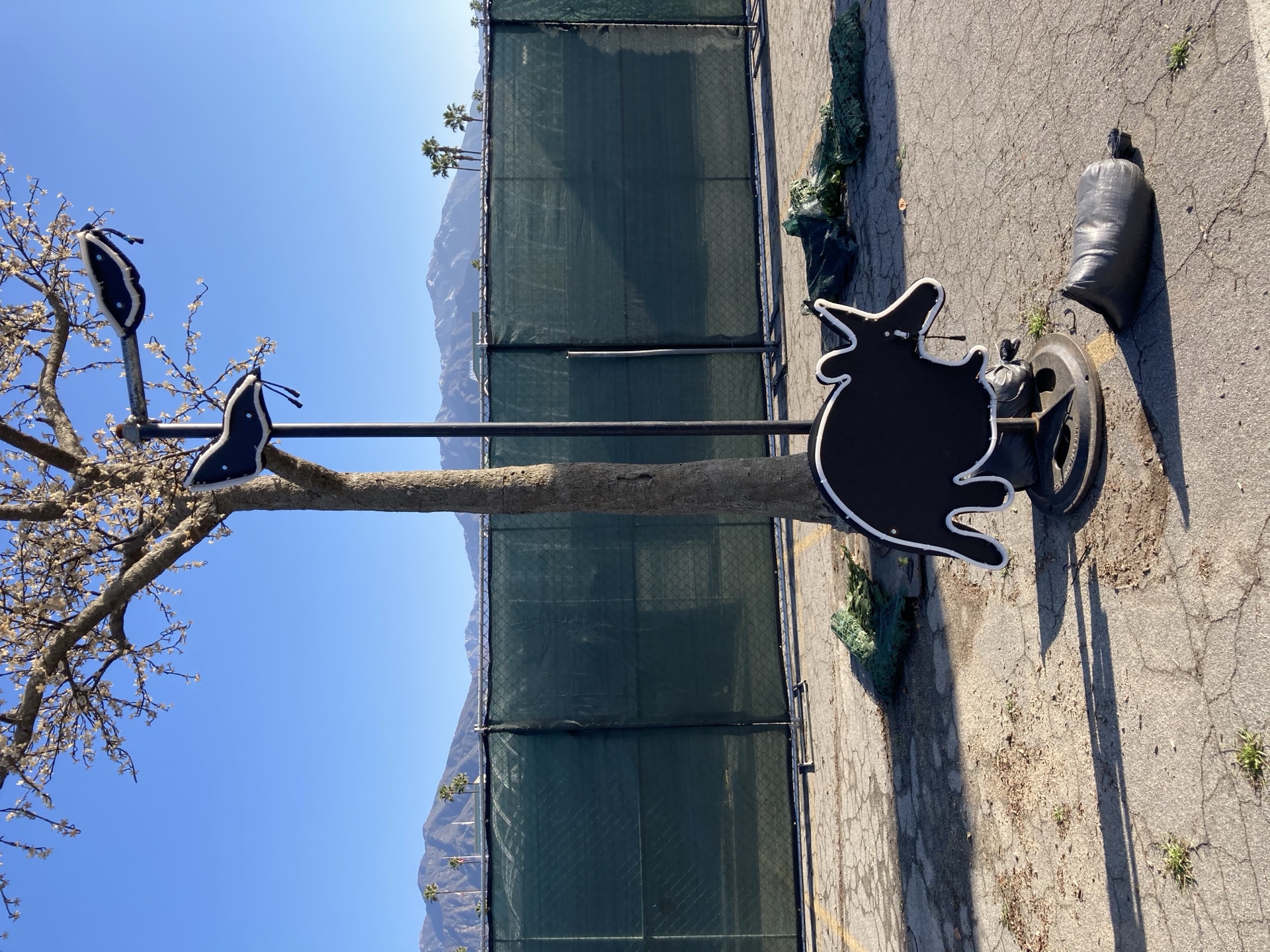 Aardvark & Bats for Insomniac Events · Beyond Wonderland